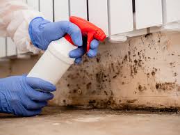 Why You Should Choose Our Mold Remediation Services in Suitland, MD